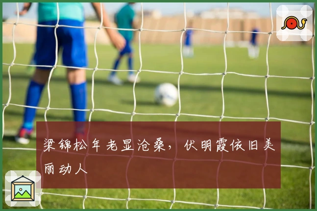 梁锦松年老显沧桑，伏明霞依旧美丽动人